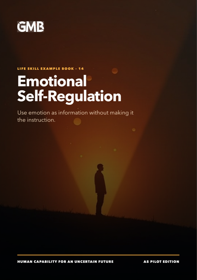 Cover of the Emotional Self-Regulation minibook