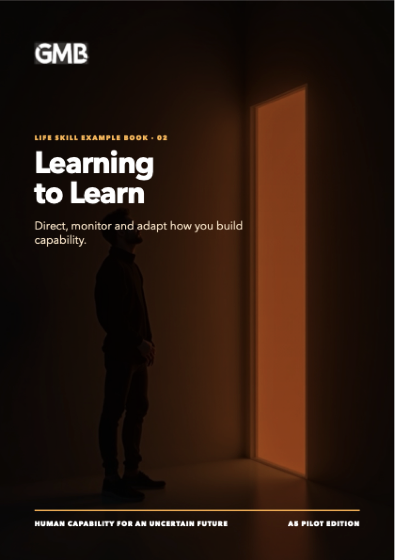Cover of Learning to Learn
